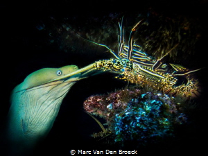 Let me kiss you by Marc Van Den Broeck 